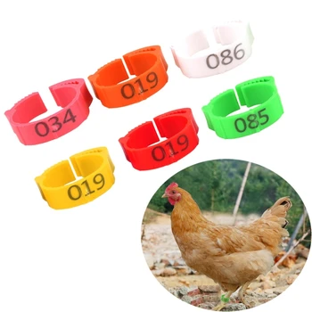 100 шт, 6 Цветных регулируемых колец для ног птицы, Размер внутреннего диаметра 2 ~ 2,4 см, Гибкие выдвижные кольца для ног курицы